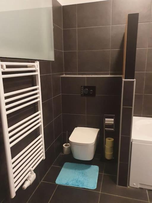 Mareli Neusiedler Stadthaus Nezsider Kültér fotó