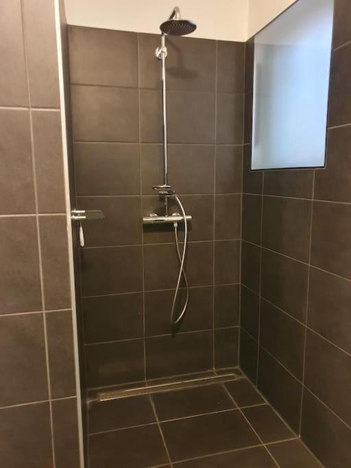 Mareli Neusiedler Stadthaus Nezsider Kültér fotó